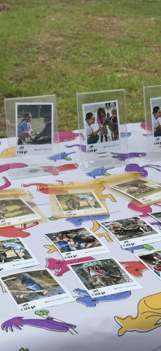 Printed Memo photos laid out on a table for visitors to collect